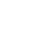 Evolution games at Bit Reels Casino
